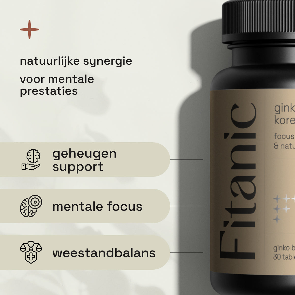 Ginkgo Biloba 3000 mg + Koreaanse Ginseng 1000 mg