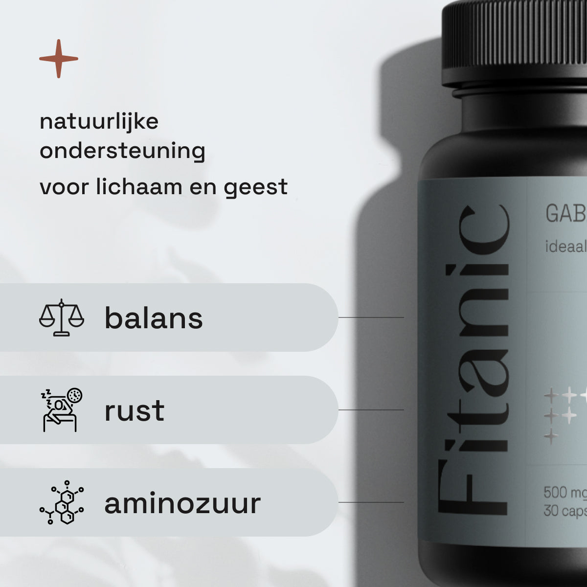 GABA (Gamma-Aminobutyric Acid)