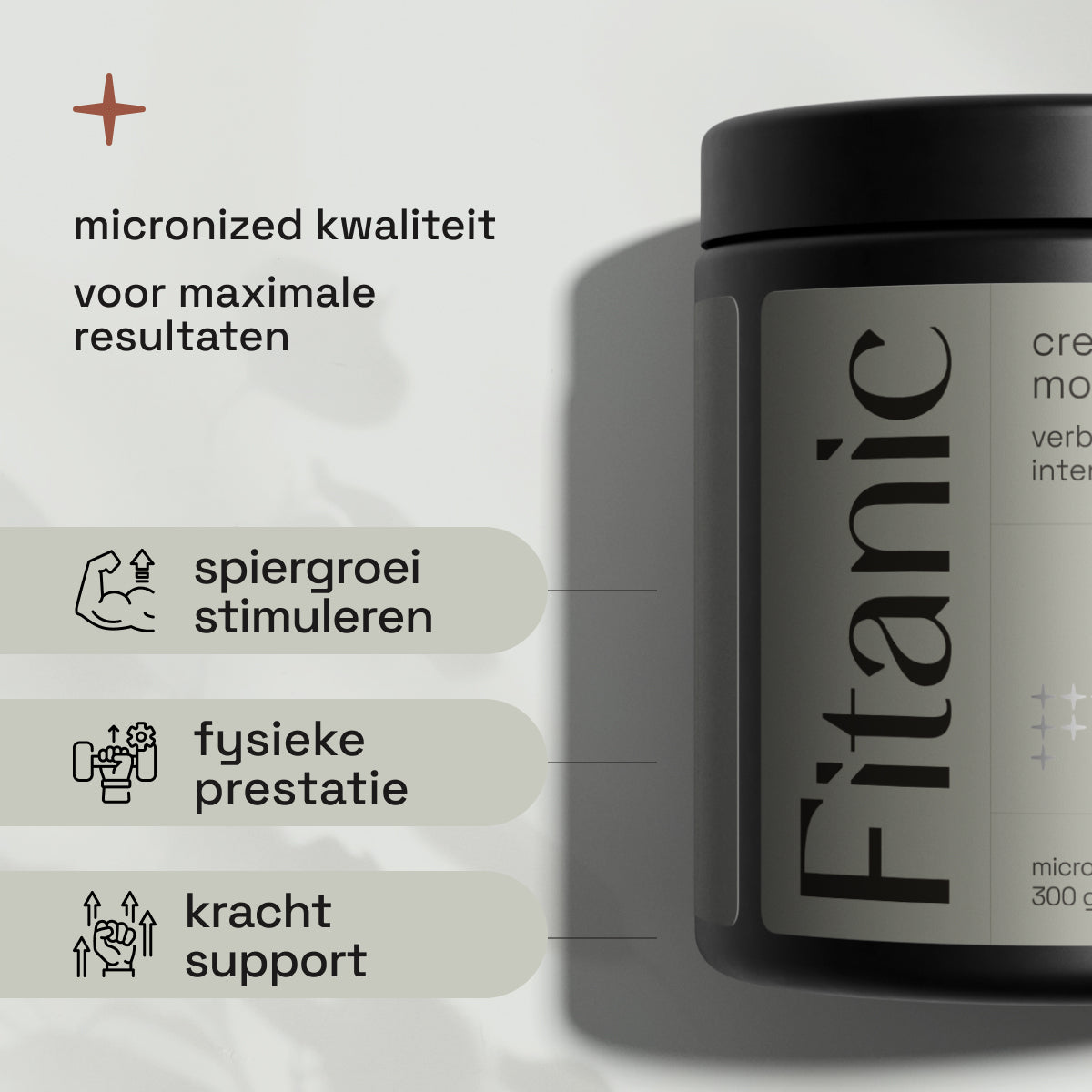 Creatine Monohydrate - Micronized