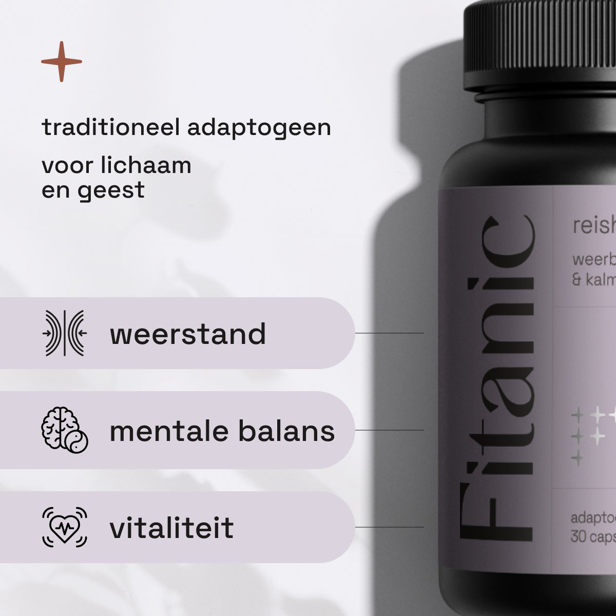 Reishi - 1000 mg