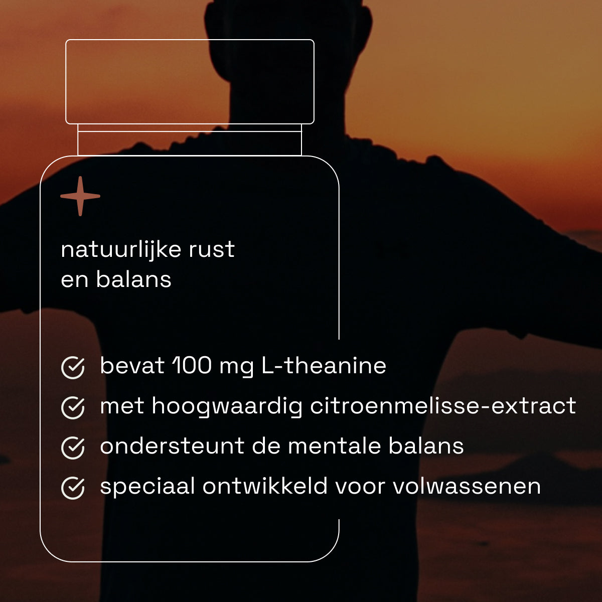 L-Theanine citroenmelisse