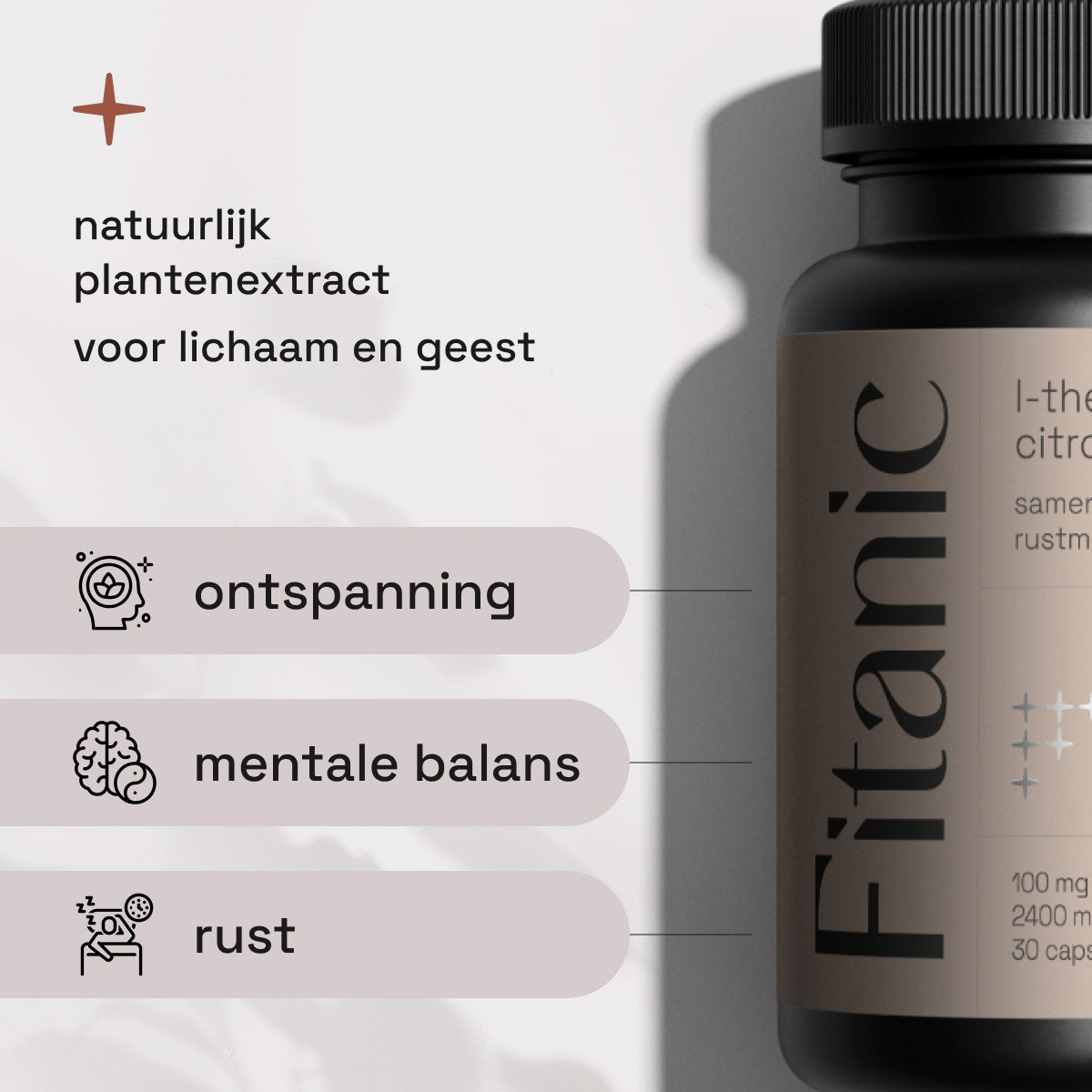 L-Theanine citroenmelisse