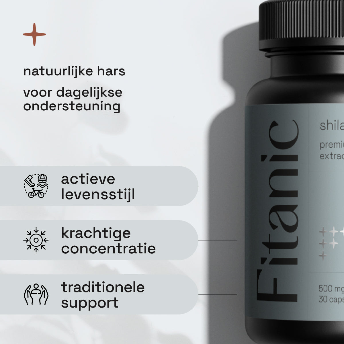 Shilajit